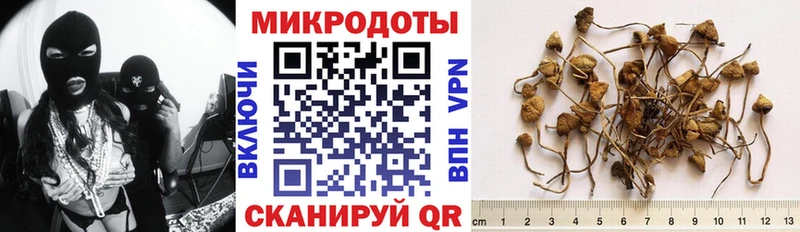 Галлюциногенные грибы мицелий  наркошоп  Беслан 